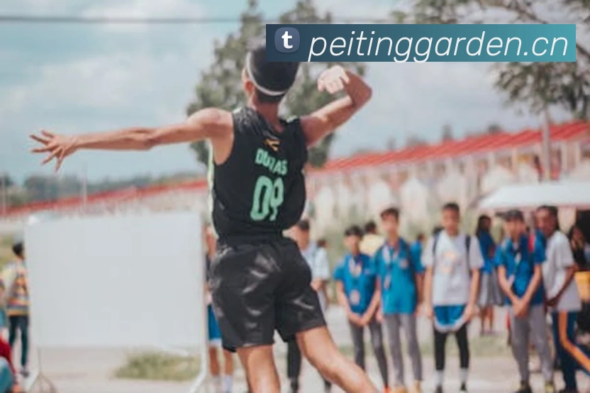 多媒体互动体验